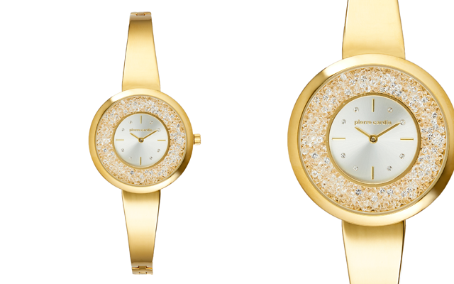 Pierre Cardin Taylor watch