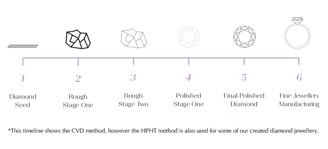 Michael Hill illustrates the CVD process through which Fenix diamonds are manufactured.