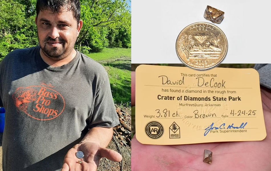 A Minnesota man is the latest tourist to depart the Crater of Diamonds State Park with a special souvenir after stumbling across a large brown diamond. | Source: Daily Mail