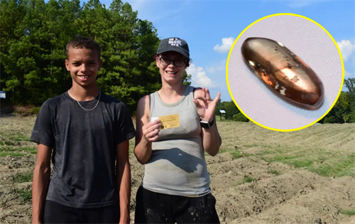 An impressive brown diamond has been discovered by a family visiting a unique state park. | Source: New York Post