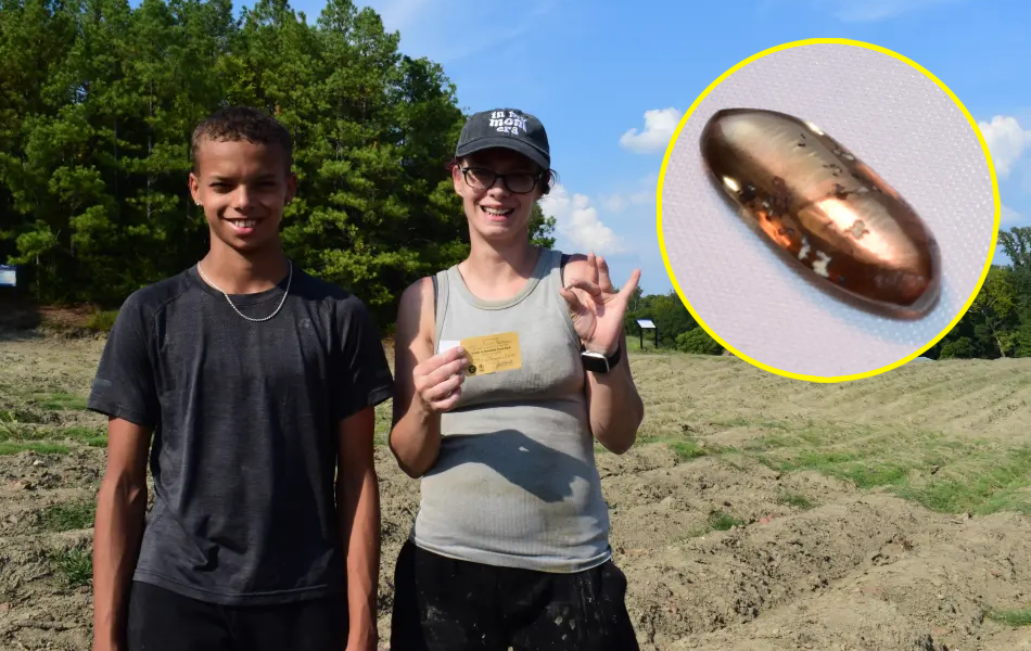 An impressive brown diamond has been discovered by a family visiting a unique state park. | Source: New York Post