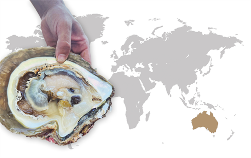 South Sea Pearl Farms: Eco-tourism has become an integral part of the marketing strategy, offering visitors a glimpse into the captivating world of pearl cultivation.