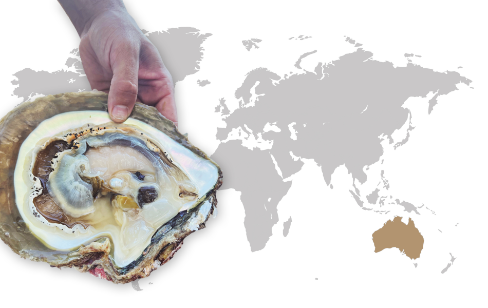 South Sea Pearl Farms: Eco-tourism has become an integral part of the marketing strategy, offering visitors a glimpse into the captivating world of pearl cultivation.