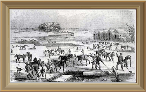 Ice harvesting at Arlington, Massachusetts, in 1852, showing the railroad line in the background used to transport the ice.