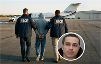 An individual accused of organising a jewellery heist, described by investigators as the largest in US history, may never face trial because he was deported. | Source: Top 10s