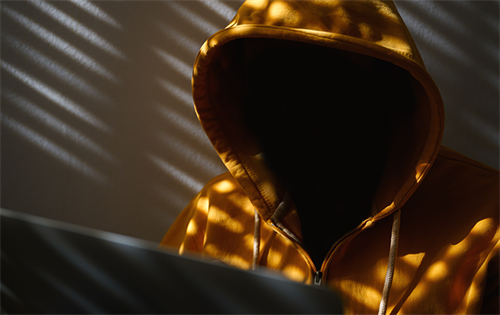  Online retail scams designed to deceive consumers by posing as legitimate Australian businesses. 