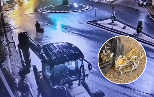 Bizarre footage has emerged from Turkey, where a would-be gold thief escaped the scene of a crime using a donkey as a getaway vehicle. | Source: Guardian News