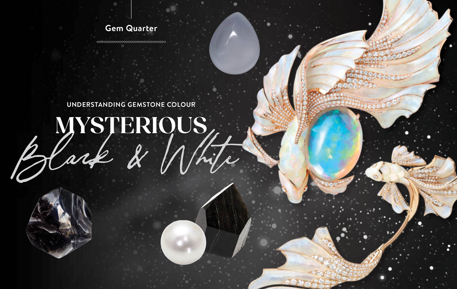 Mysterious black and white gemstones. featuring: The Opalescence brooch by Boucheron
