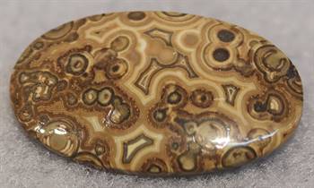 Eye ‘agate’ from the Roy C. Harvey Collection courtesy of GAA House. 