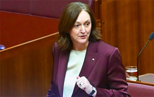 The controversy surrounding the Australian Government’s proposed Capital Gains Tax (CGT) reforms has reached the jewellery industry. | Source: Senator Maria Kovacic