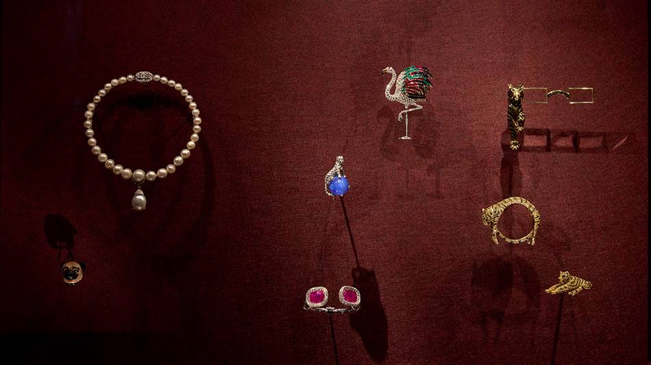 Installation view of CARTIER on display from 12 June to 4 October 2026, at NGV International, Melbourne. | Photo: NGV/Sean Fennessy