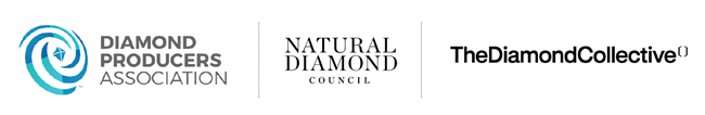 Founded in 2015 as the Diamond Producers Association, the body became the Natural Diamond Council in 2020, lost Alrosa in 2022, broadened membership in 2023, and appointed Amber Pepper CEO in 2025, who has led the change into 