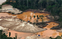 Rising gold prices are driving a surge in illegal mining across Peru, putting protected rainforest under greater pressure while strengthening organised crime networks behind the illicit trade. | Source: The Japan Times/Bloomberg
