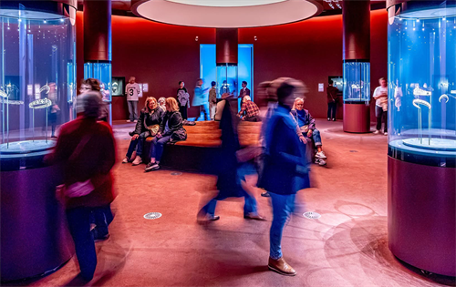 The doors have been closed on one of the largest jewellery showcases in Australian history, with more than one-quarter of a million people visiting the exhibition. | Source: National Gallery of Victoria