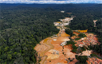 Surging gold prices are fuelling illegal mining and deforestation worldwide, putting increasing pressure on the industry to strengthen supply chain safeguards. | Source: CSIS