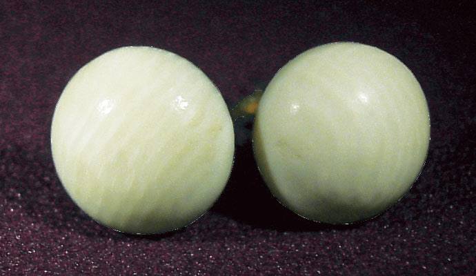 Ivory
