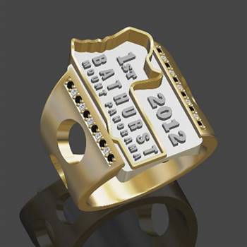 2012 Bathurst 1000 Winning Drivers Rings