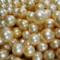 Pearls from a gold-lip oyster