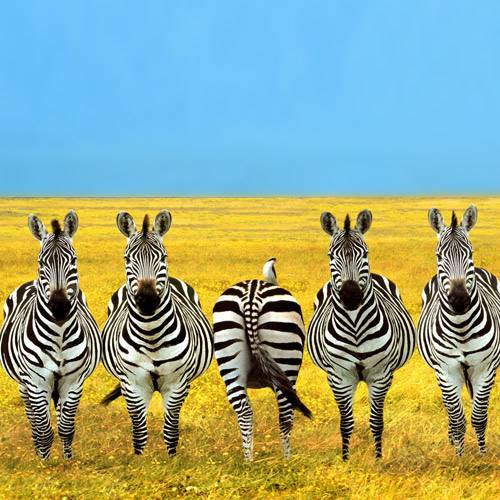 Be careful you're not standing out like everyone else! It's not different if everyone does it!
