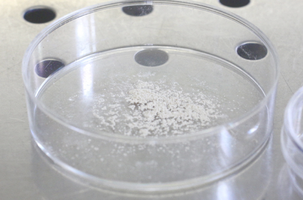 Small amounts of recovered pearl powder from pearl samples that contain DNA. Image courtesy: Swiss Gemmological Institute.