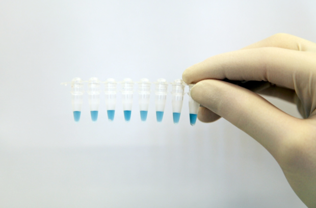 The extraction of DNA from sample material. Image courtesy: Swiss Gemmological Institute.