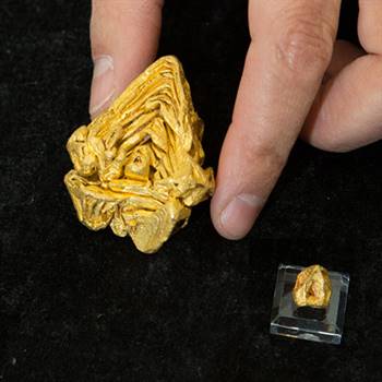The world's largest single-crystal gold specimen was discovered in Venezuela