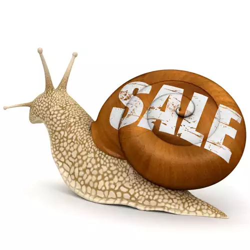 Research has shown that online sales growth is slowing for internet-only retailers