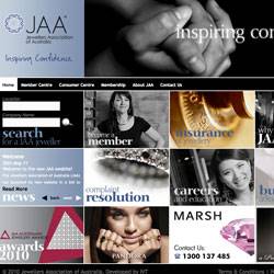 The JAA's new official website