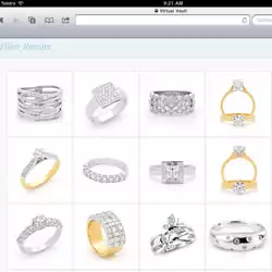 A few of the many jewellery pieces available in the inventory of images in 'Virtual Vault'